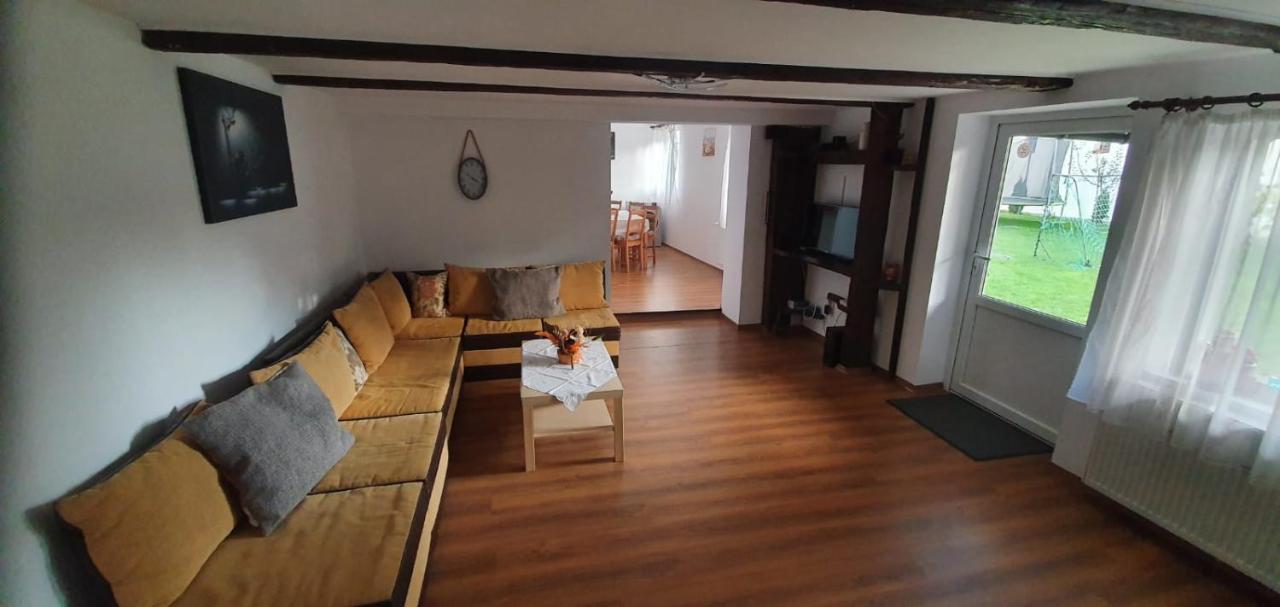 Casa De Oaspeti Laura Рышнов Экстерьер фото