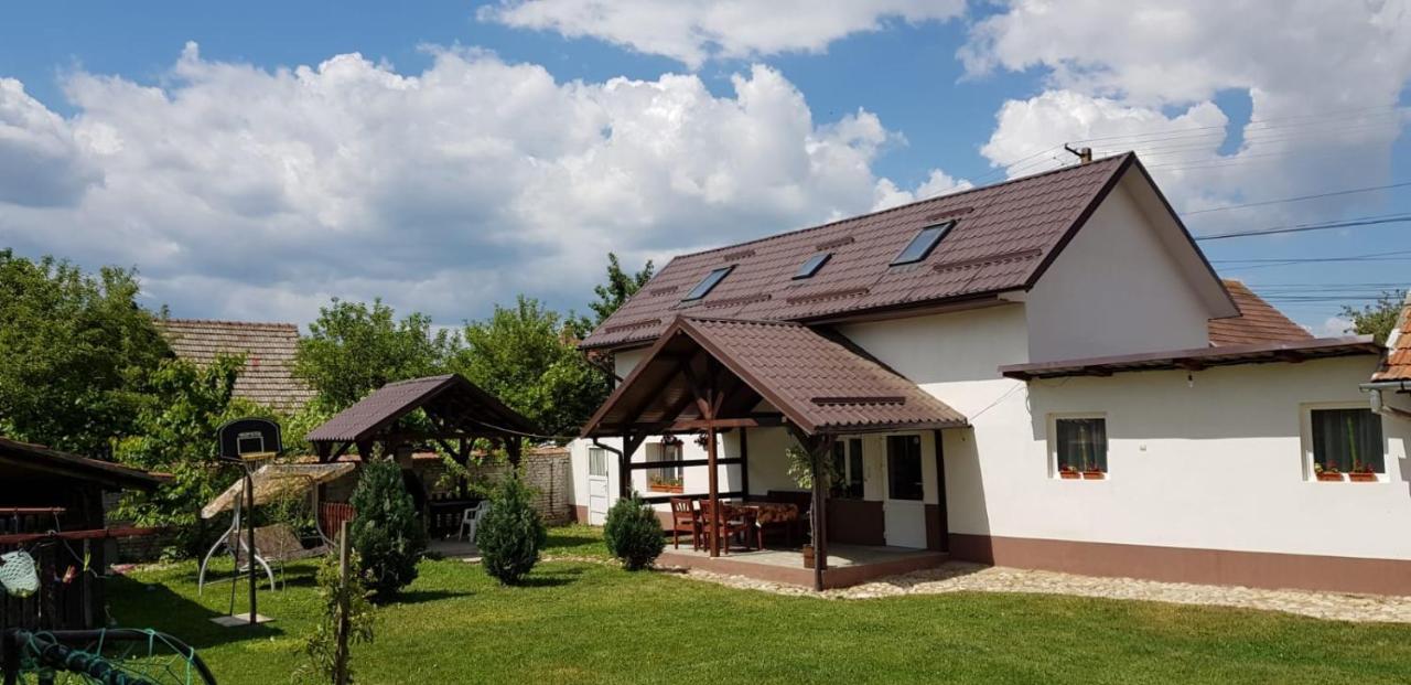 Casa De Oaspeti Laura Рышнов Экстерьер фото
