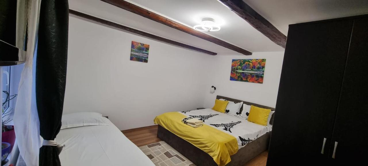 Casa De Oaspeti Laura Рышнов Экстерьер фото